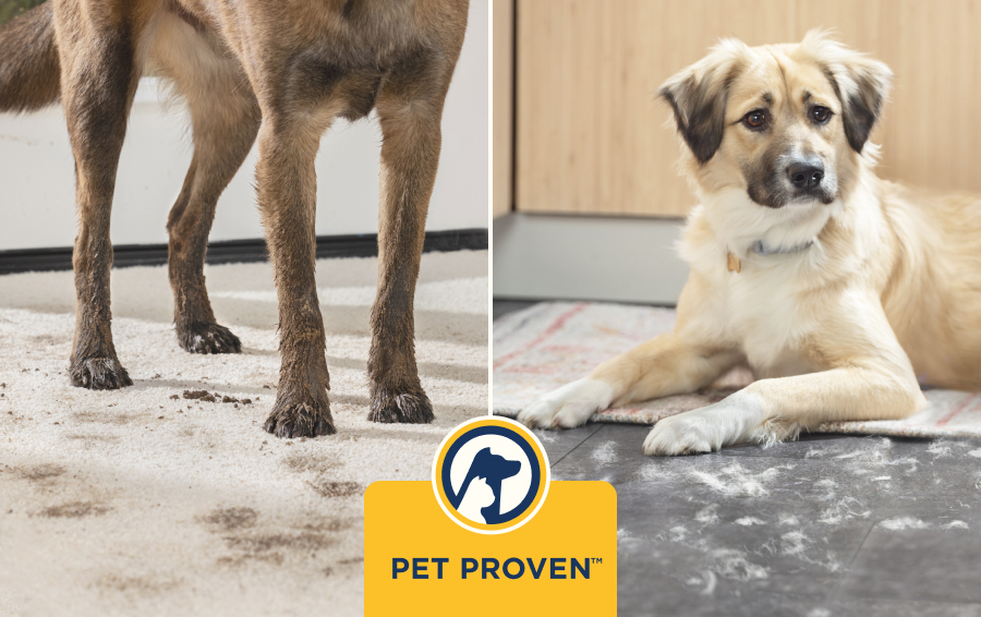 Certificación Pet Proven