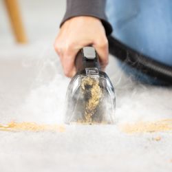 SpotClean HydroSteam Pro