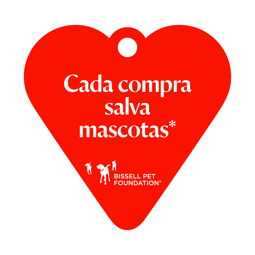 Pets foundation